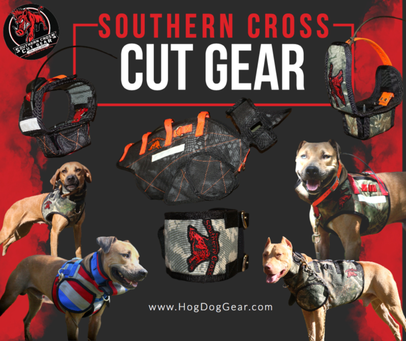 Used hog 2024 dog gear